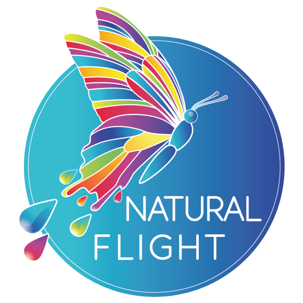 Graphic of Natural Flight Logo - a colourful butterfly on a blue circle