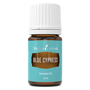 Blue Cyprus Image: Young Living 'Blue Cyprus' essential oil