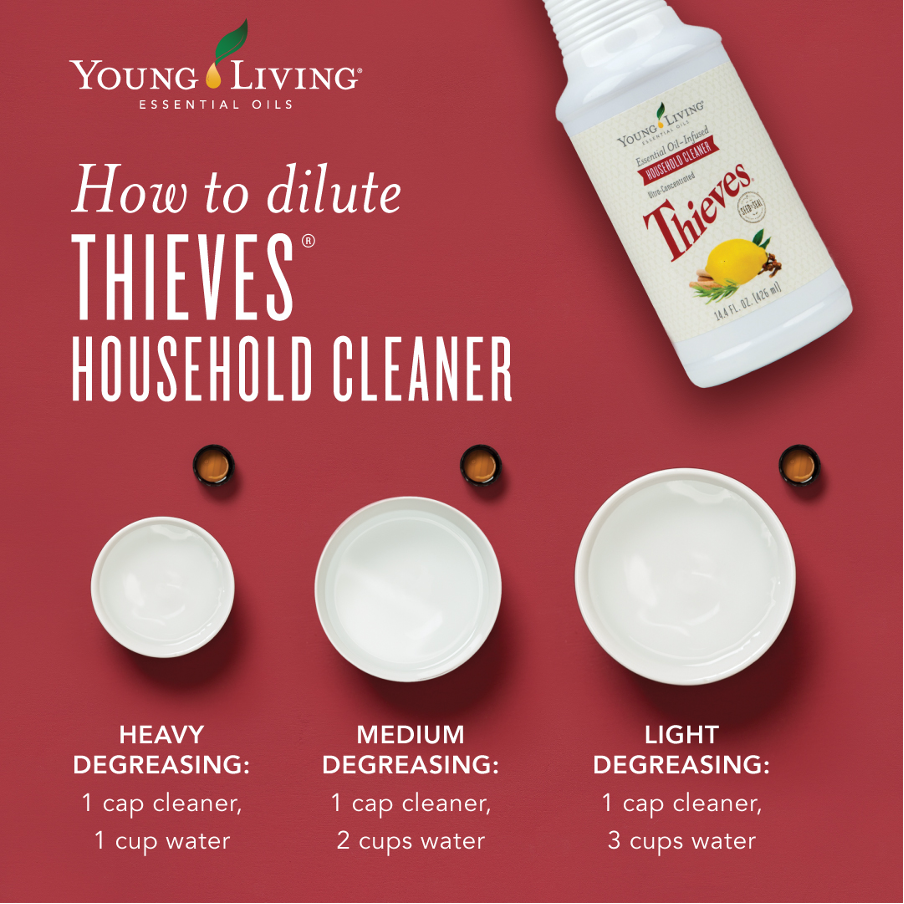 Graphic from Young Living essential oils describing how to dilute Thieves® housecleaner as follows: for heavy degreasing use 1 cap cleaner and 1 cup water; for medium degreasing use 1 cap cleaner and 2 cups water; for light degreasing use 1 cap cleaner and 3 cups water