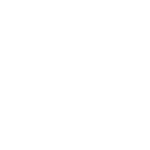 Graphic of a white lotus Icon