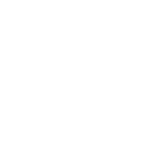 Graphic of a White Mandala Icon