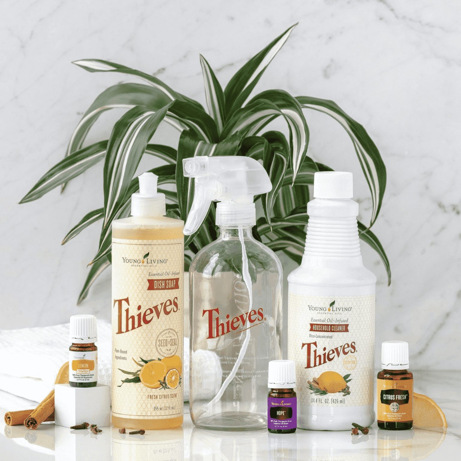 Graphic of the Young Living Healthy Home Bundle